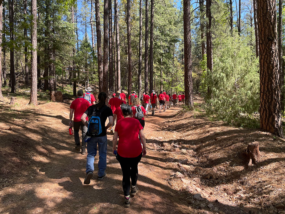 Boy Scouts hiking
